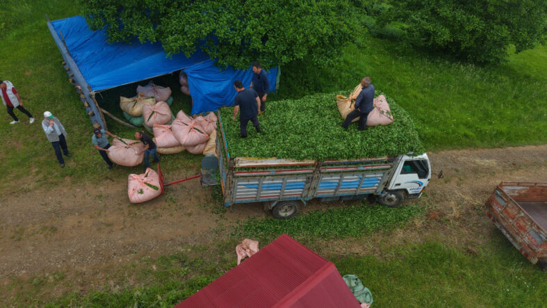 Karadeniz insanı yine zekasını konuşturdu, zor işi kolaylaştırdı