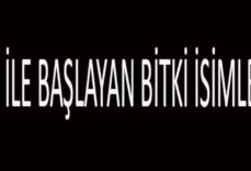 T İle Başlayan Bitki İsimleri... T Harfi İle Başlayan Bitkiler